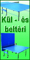 Fabuland_pingpong