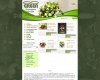Forevergreen Virágküldő Szolgálat